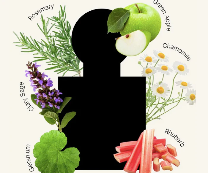 Sasra Natural Parfum - Throat Chakra Balancing Fragrance - Image 5